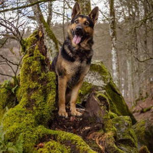 Lac Pavin by NataFranceAuvergne-17